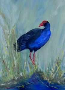 Pukeko I12"x9" (305x229) PRIVATE COL