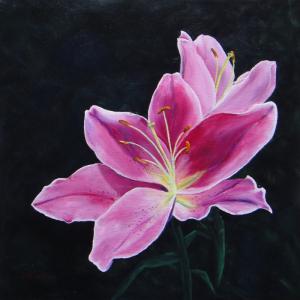 Tiger Lily 18"x18" (457x457) SOLD