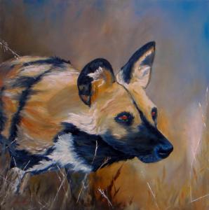African Painted Wild Dog24"x24" (610x610)