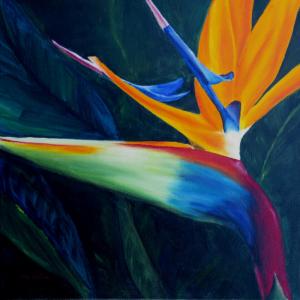 Evolution: realism 18"x18" (457x457)