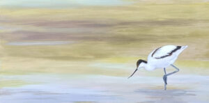 Avocet - 36"x18" - Oil on Canvas